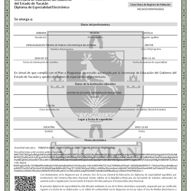 Ampliar imagen: certificate 1