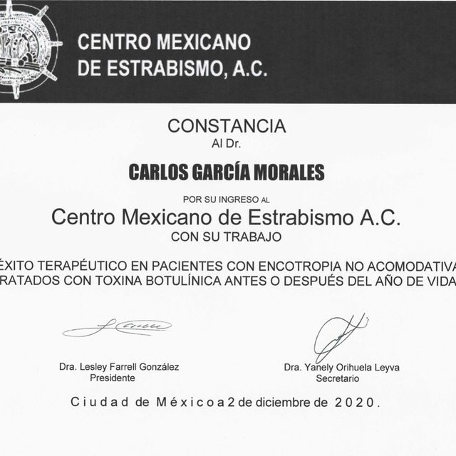 Ampliar imagen: certificate 4