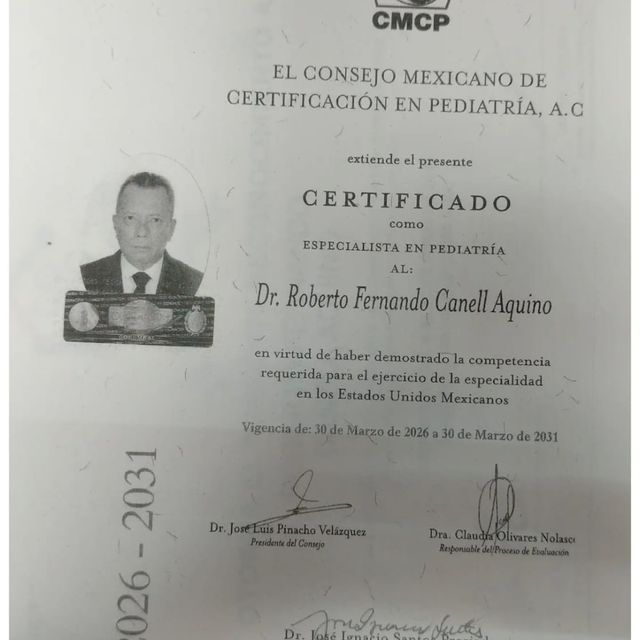 Ampliar imagen: certificate 5