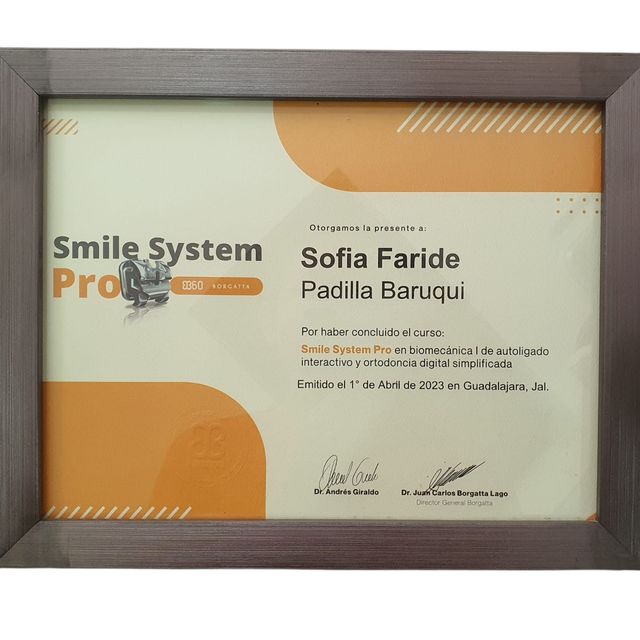 Ampliar imagen: certificate 4