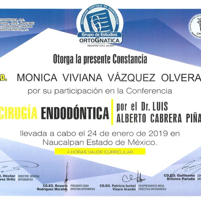 Ampliar imagen: certificate 24