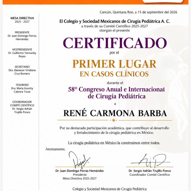 Ampliar imagen: certificate 10