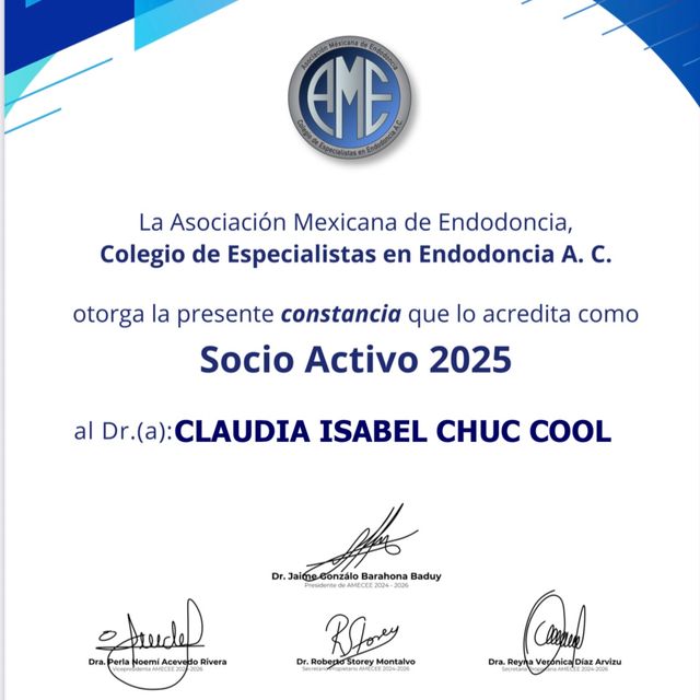 Ampliar imagen: certificate 2