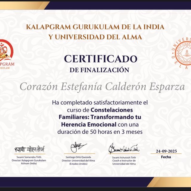 Ampliar imagen: certificate 10