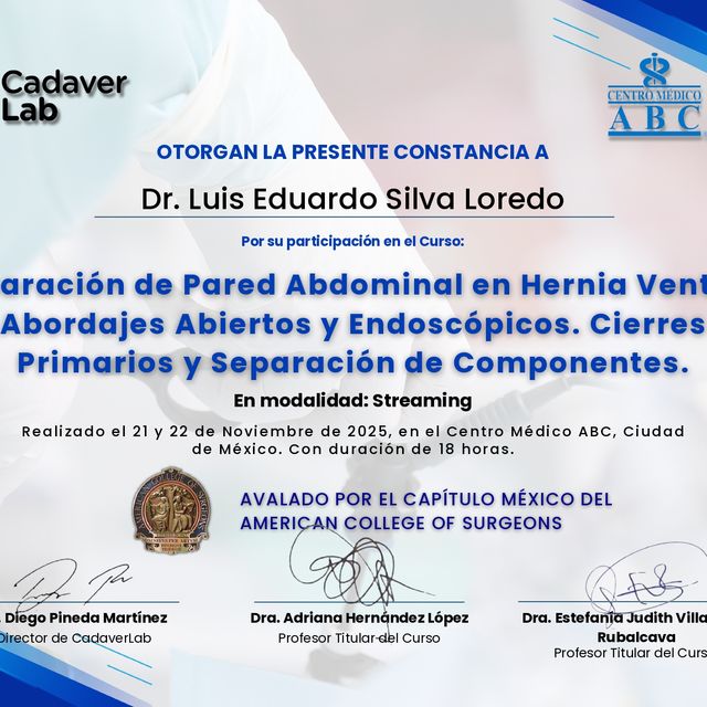 Ampliar imagen: certificate 10