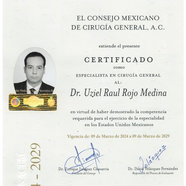 Ampliar imagen: certificate 2