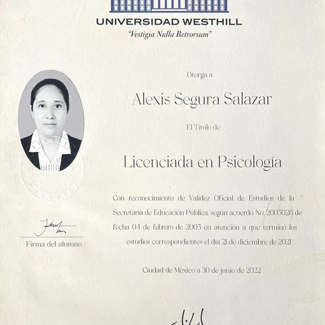 Ampliar imagen: certificate 1