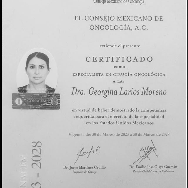 Ampliar imagen: certificate 1