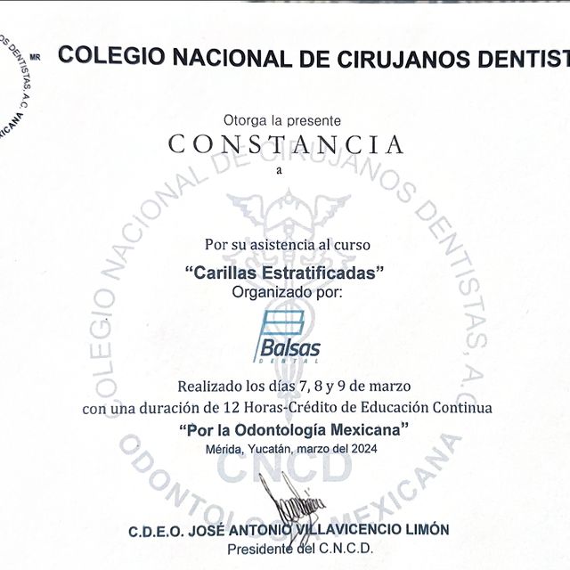 Ampliar imagen: certificate 3