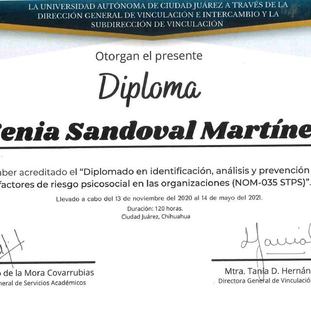 Ampliar imagen: certificate 3