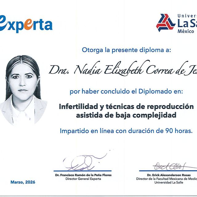 Ampliar imagen: certificate 7