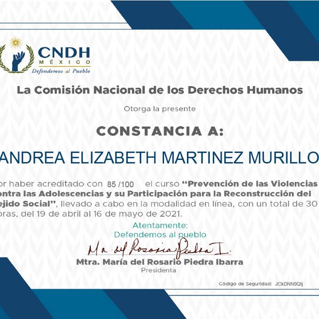 Ampliar imagen: certificate 48