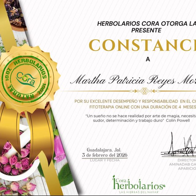 Ampliar imagen: certificate 21