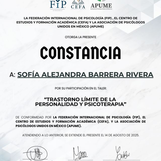 Ampliar imagen: certificate 2