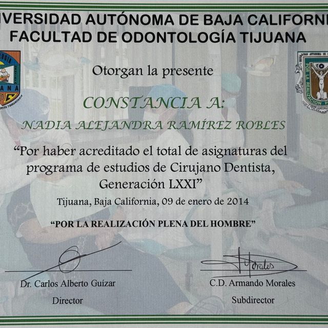 Ampliar imagen: certificate 3