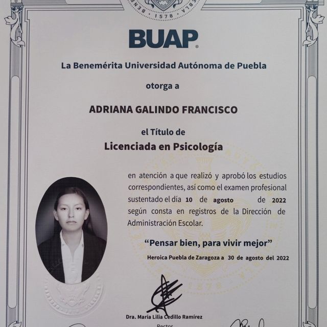 Ampliar imagen: certificate 1