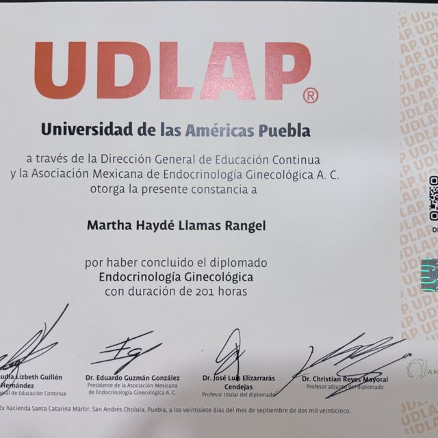 Ampliar imagen: certificate 7