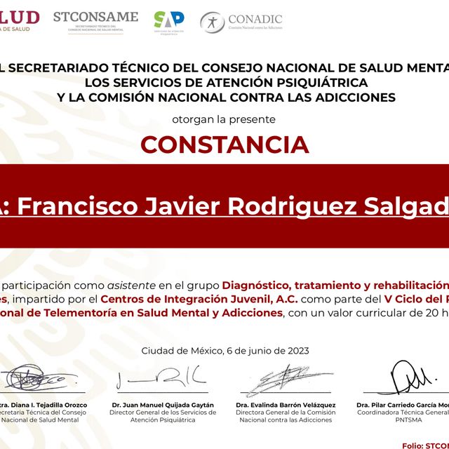 Ampliar imagen: certificate 6