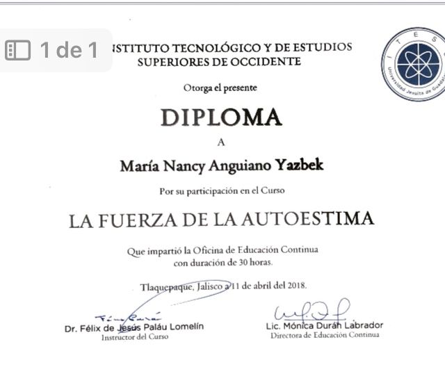 Ampliar imagen: certificate 4