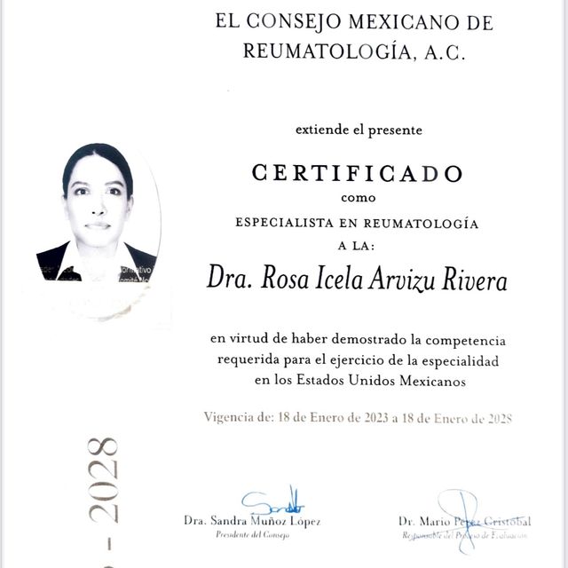Ampliar imagen: certificate 1