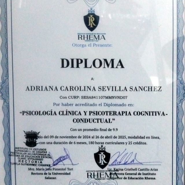 Ampliar imagen: certificate 3