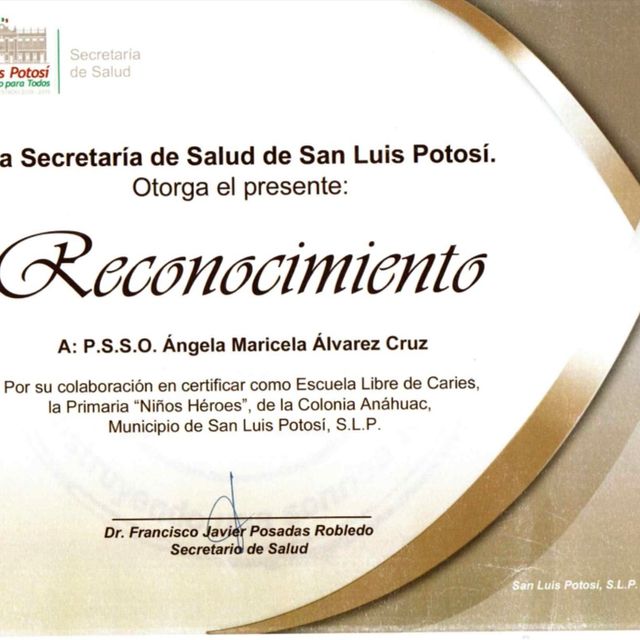 Ampliar imagen: certificate 20