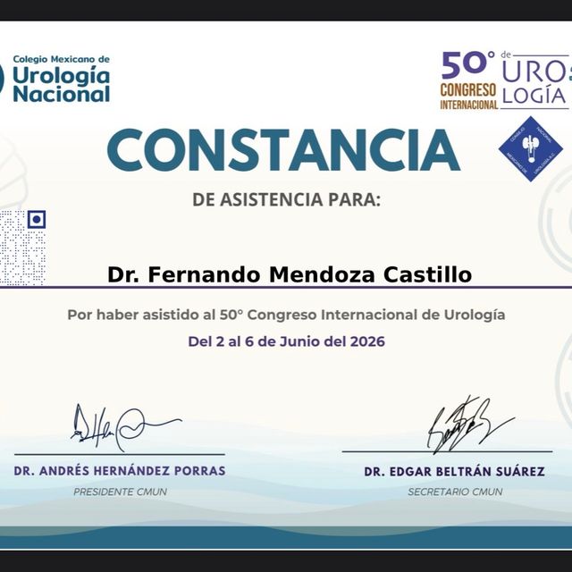 Ampliar imagen: certificate 6