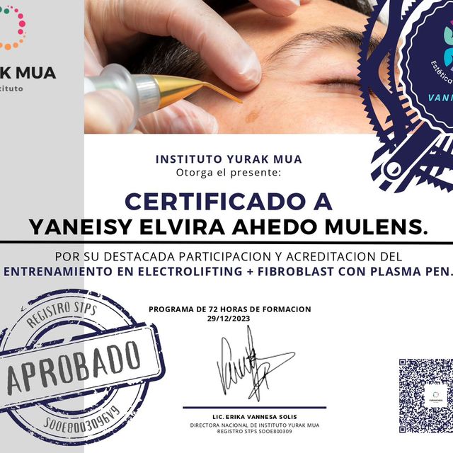 Ampliar imagen: certificate 7