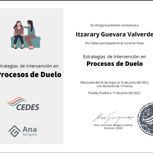 Ampliar imagen: certificate 6