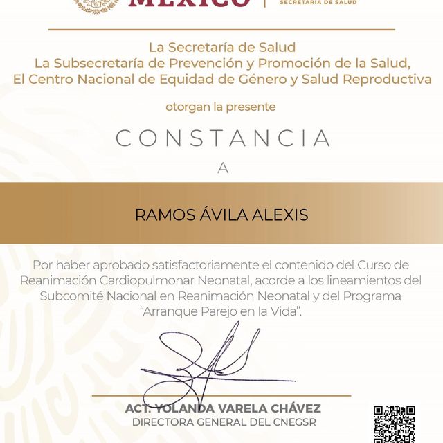 Ampliar imagen: certificate 2