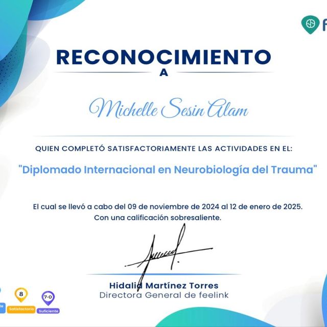 Ampliar imagen: certificate 3