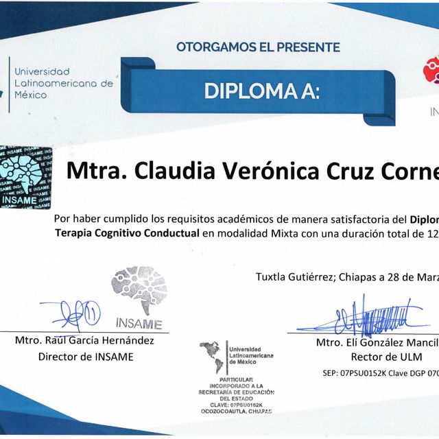 Ampliar imagen: certificate 3