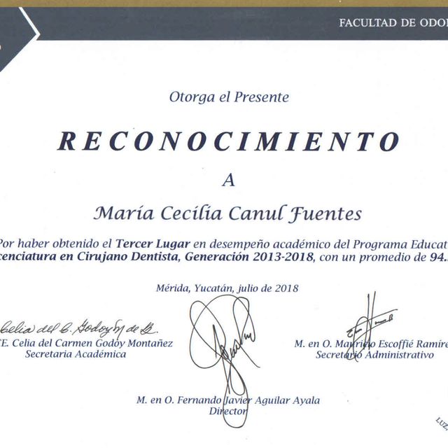 Ampliar imagen: certificate 1