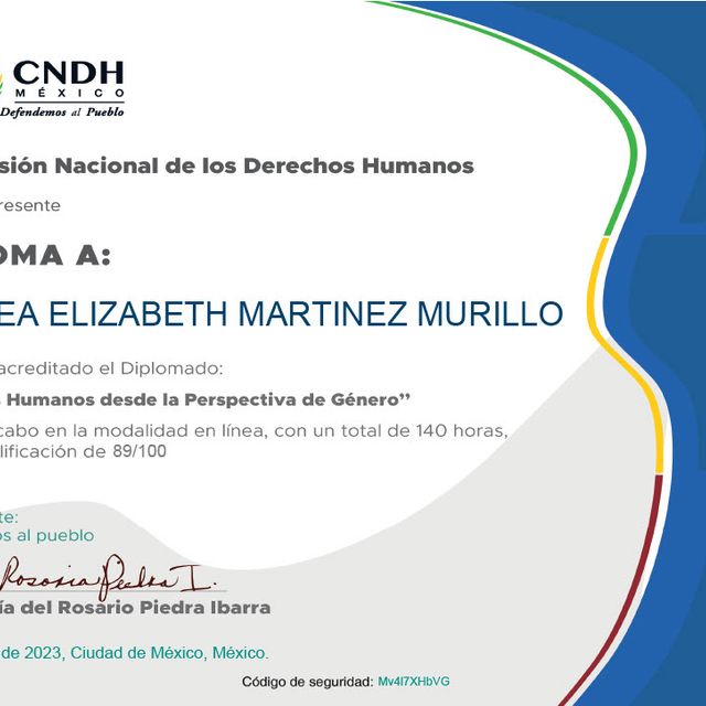 Ampliar imagen: certificate 23