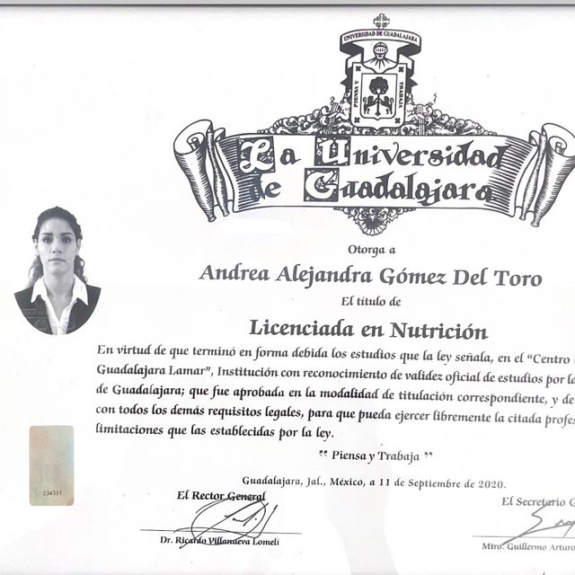 Ampliar imagen: certificate 4