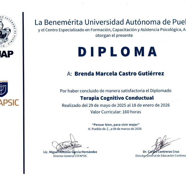 Ampliar imagen: certificate 2