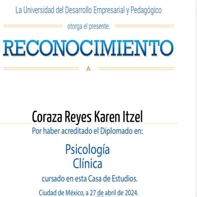 Ampliar imagen: certificate 3