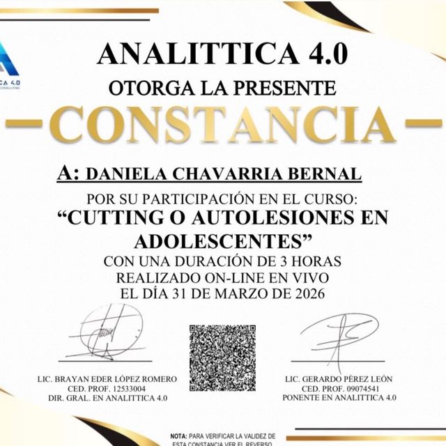 Ampliar imagen: certificate 22
