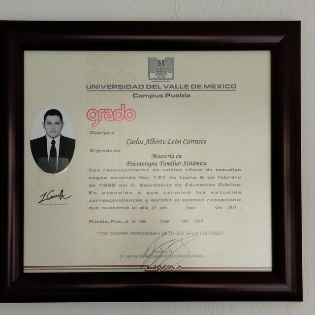 Ampliar imagen: certificate 2
