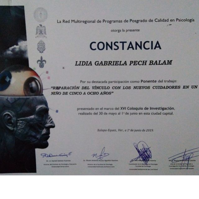 Ampliar imagen: certificate 8