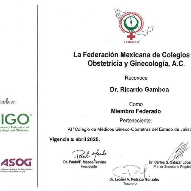 Ampliar imagen: certificate 2