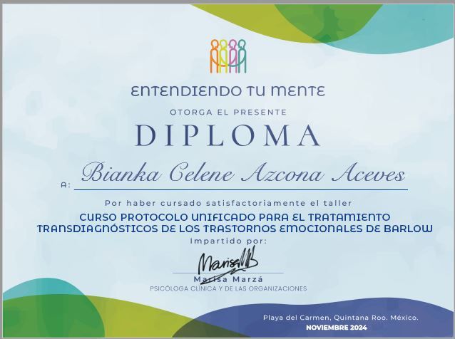 Ampliar imagen: certificate 2