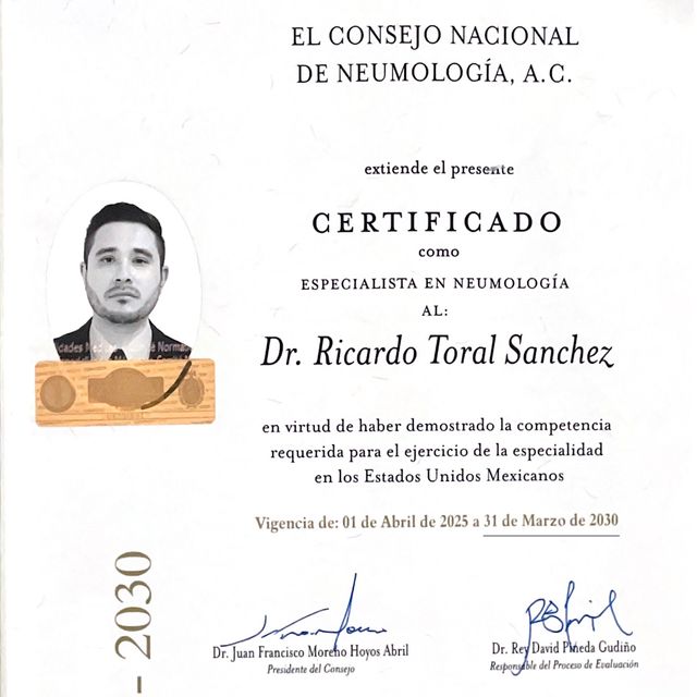 Ampliar imagen: certificate 3