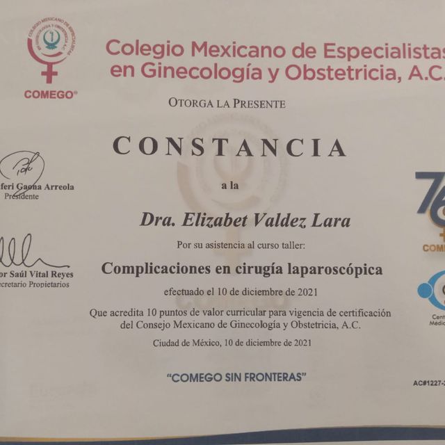 Ampliar imagen: certificate 8