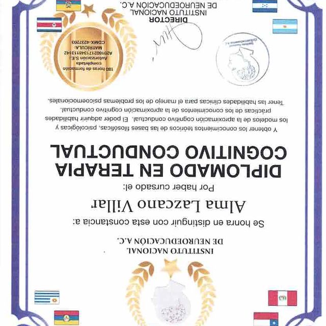 Ampliar imagen: certificate 3