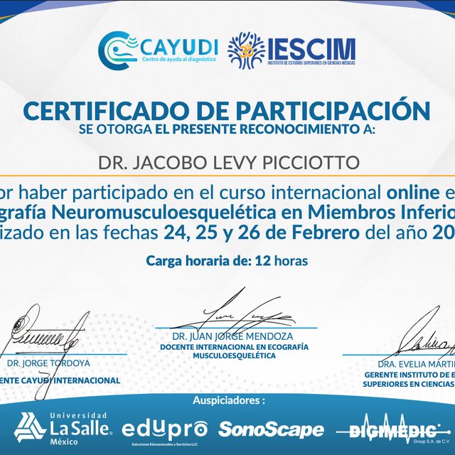 Ampliar imagen: certificate 6