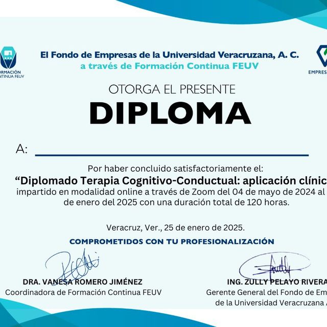 Ampliar imagen: certificate 3