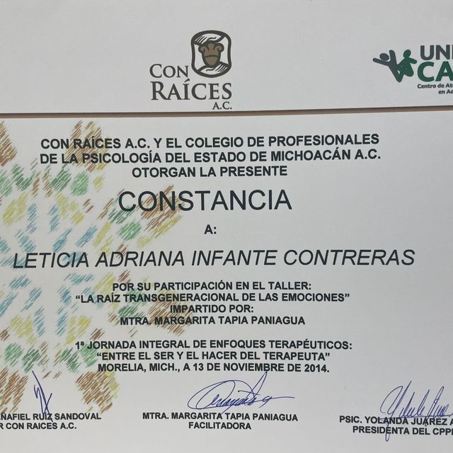 Ampliar imagen: certificate 6