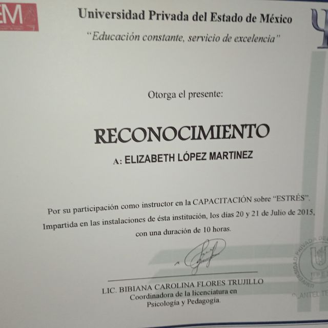 Ampliar imagen: certificate 6