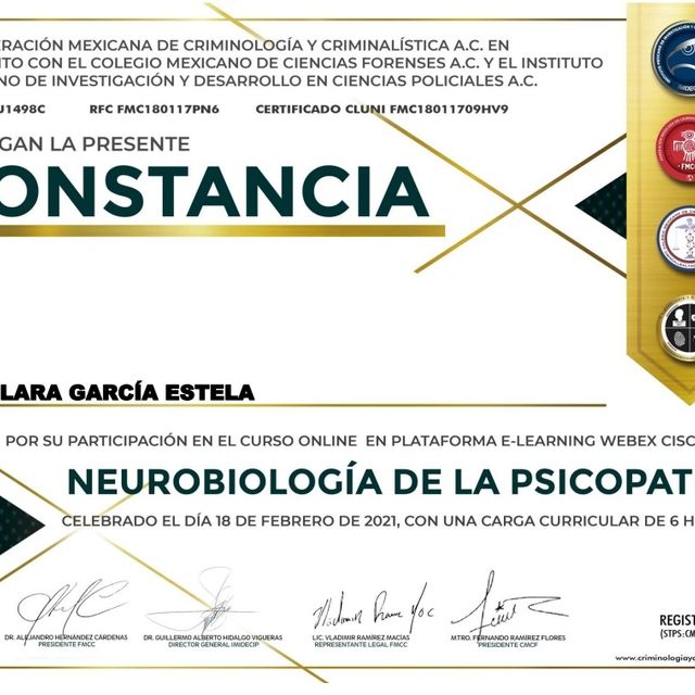 Ampliar imagen: certificate 3